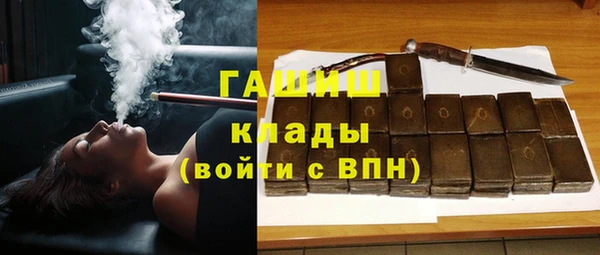 сатива Пересвет
