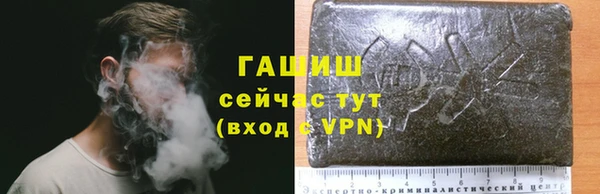 сатива Пересвет