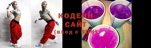ГАЛЛЮЦИНОГЕННЫЕ ГРИБЫ Пестово