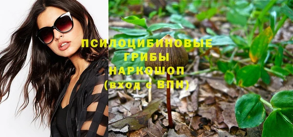 ГАЛЛЮЦИНОГЕННЫЕ ГРИБЫ Пестово