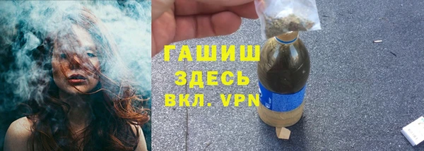сатива Пересвет