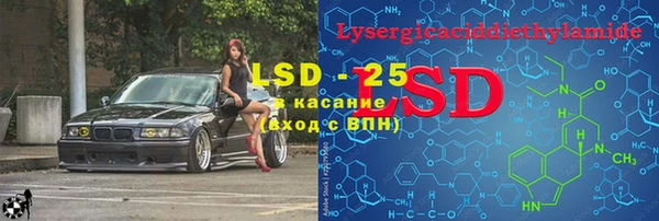 ГАЛЛЮЦИНОГЕННЫЕ ГРИБЫ Пестово