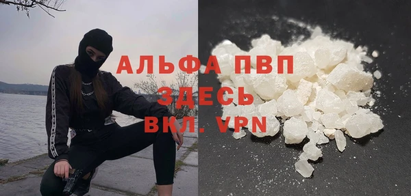 сатива Пересвет