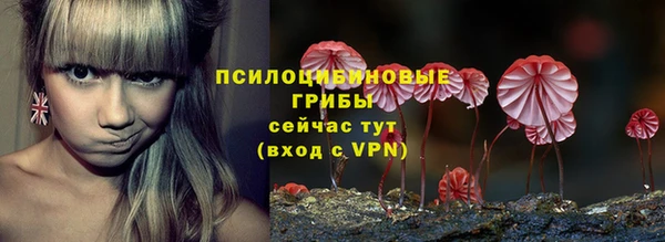 ГАЛЛЮЦИНОГЕННЫЕ ГРИБЫ Пестово