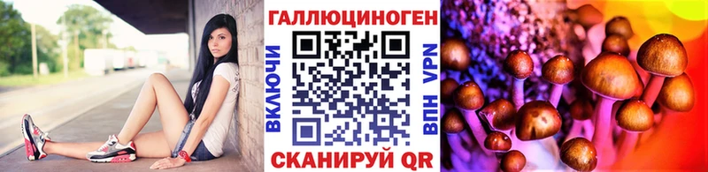 закладка  Североморск  сайты даркнета формула  Псилоцибиновые грибы MAGIC MUSHROOMS 